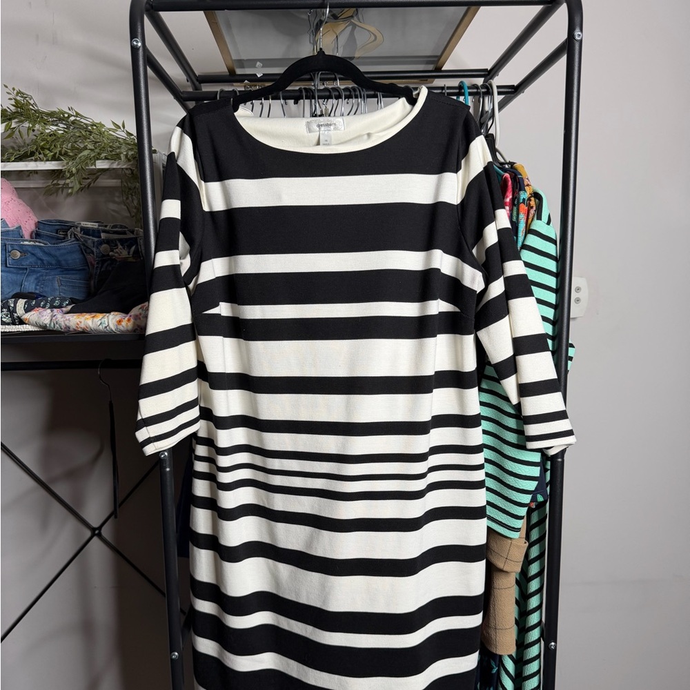 Dress barn Dress